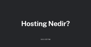 Hosting Nedir